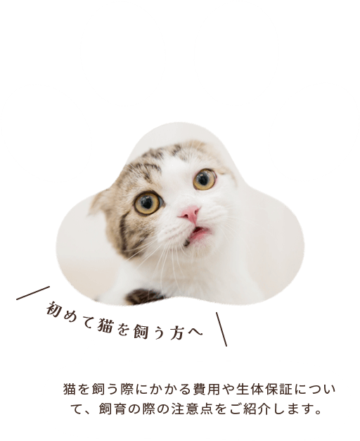 初めて猫を飼う方へ