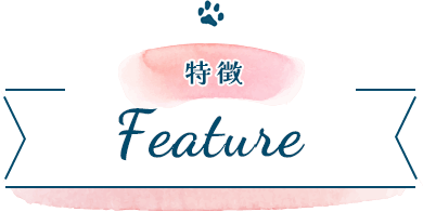 特徴 Feature