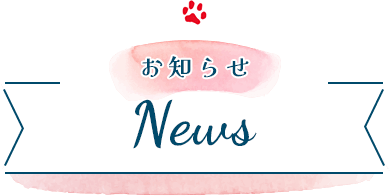 News お知らせ